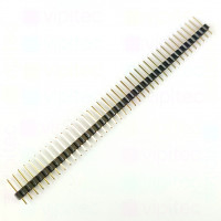 Stiftleiste, 1-reihig, 40-polig, gerade, vergoldet, RM 2,54 mm, A 10,8 mm, B 6,1 mm, C 3 mm