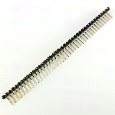 Stiftleiste, 1-reihig, 40-polig, gewinkelt, vergoldet, RM 2,54 mm, B 6 mm, C 3 mm, L 9,07 mm
